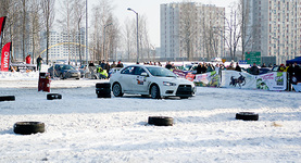 Testosteron Męski Maraton 2010