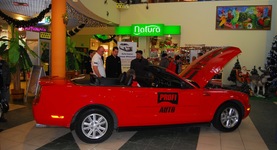 Mustang w Galerii Handlowej w Puławach