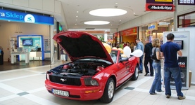 Mustang w Galerii King Cross Marcelin
