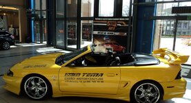 Tema wraz z ProfiAuto w Galerii Handlowej