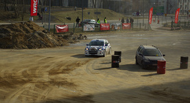 Testosteron Męski Maraton 2011