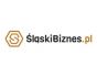 Śląski Biznes